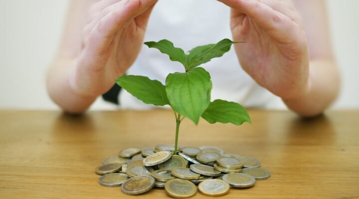 FGC: A Garantia Que Protege Seus Investimentos